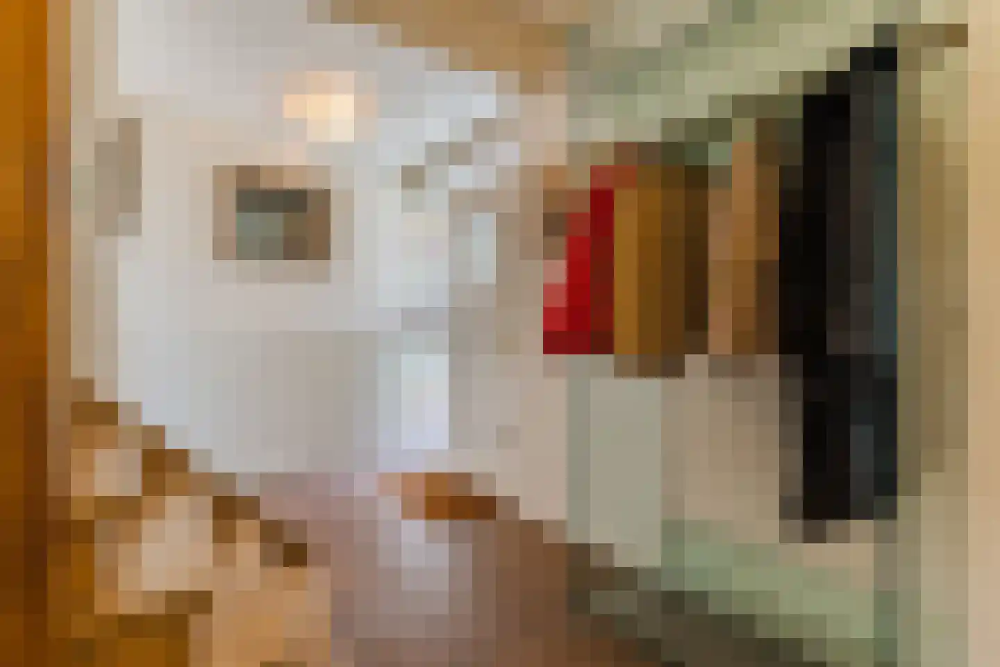 Houterbrugweg 15 Geldrop thumbnail 4
