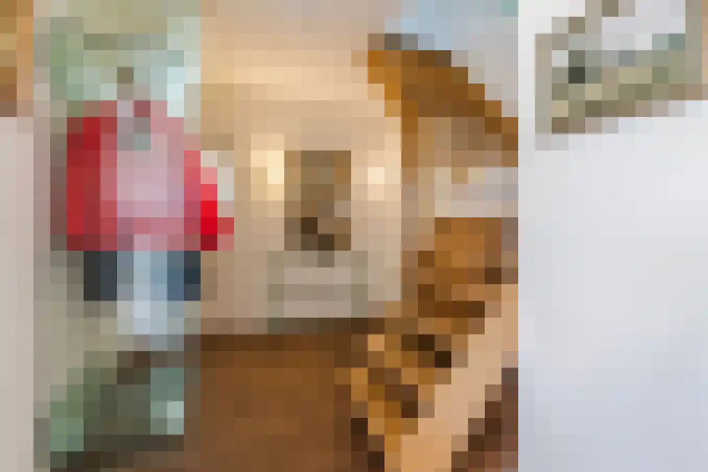 Houterbrugweg 15 Geldrop thumbnail 5