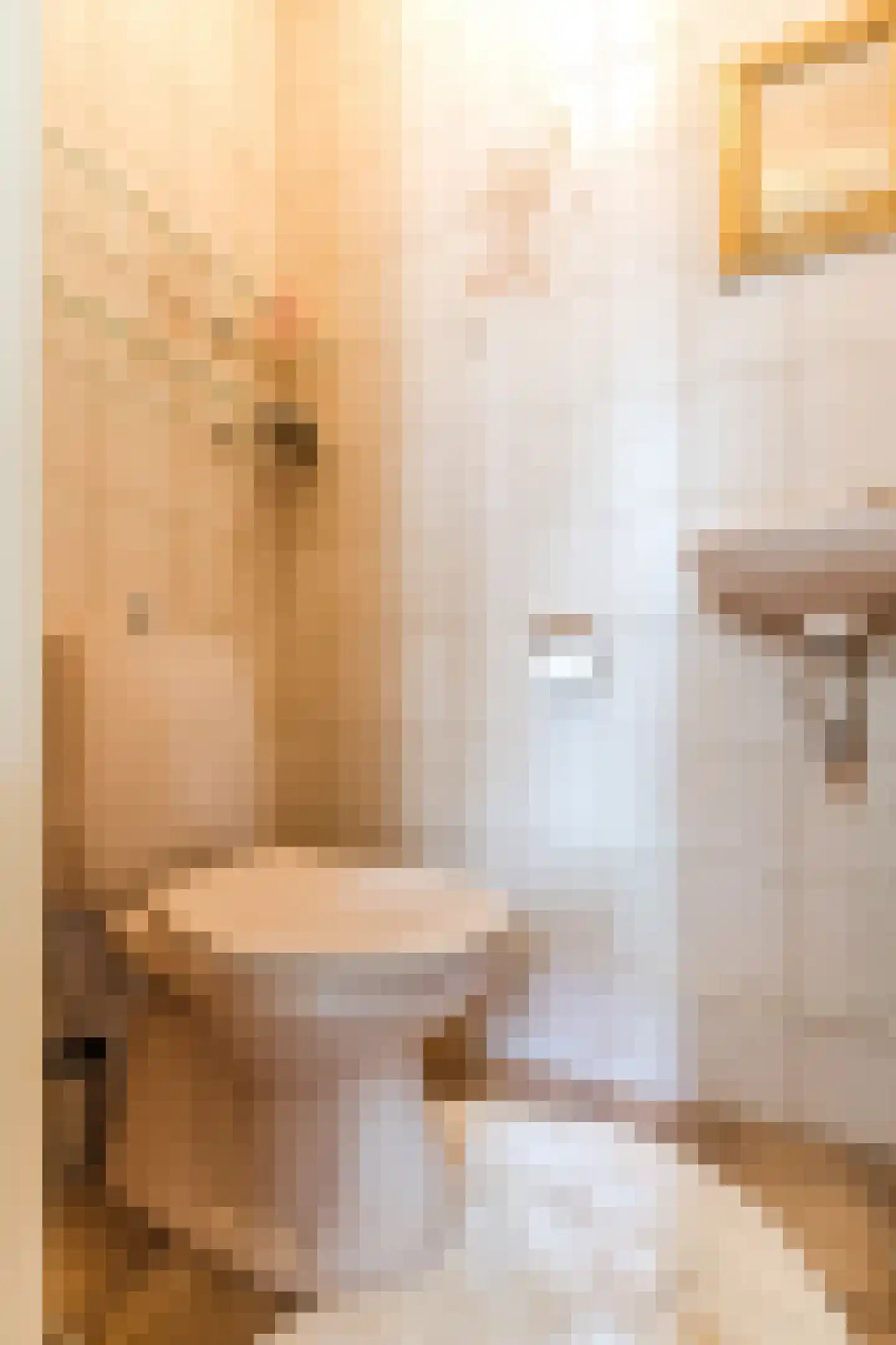 Houterbrugweg 15 Geldrop thumbnail 6