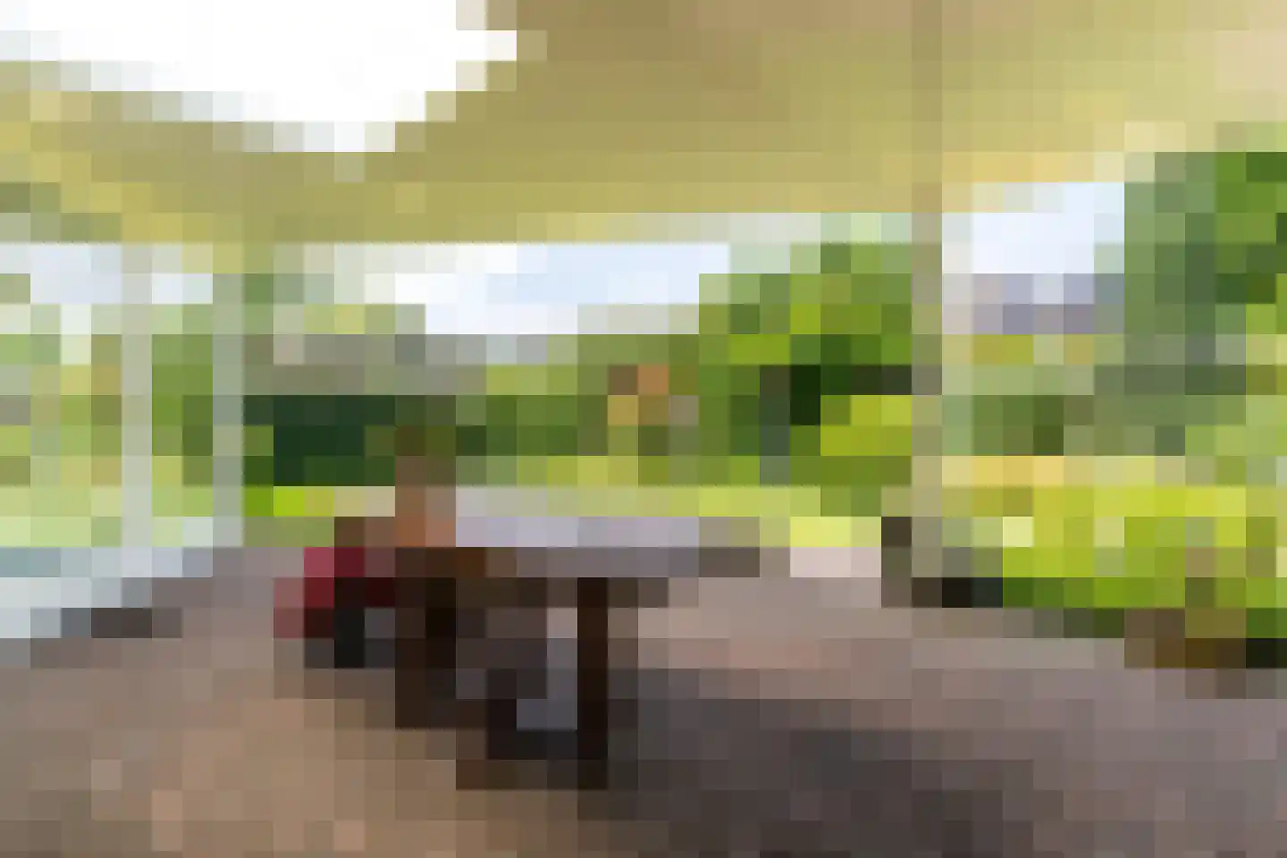 Houterbrugweg 15 Geldrop thumbnail 63