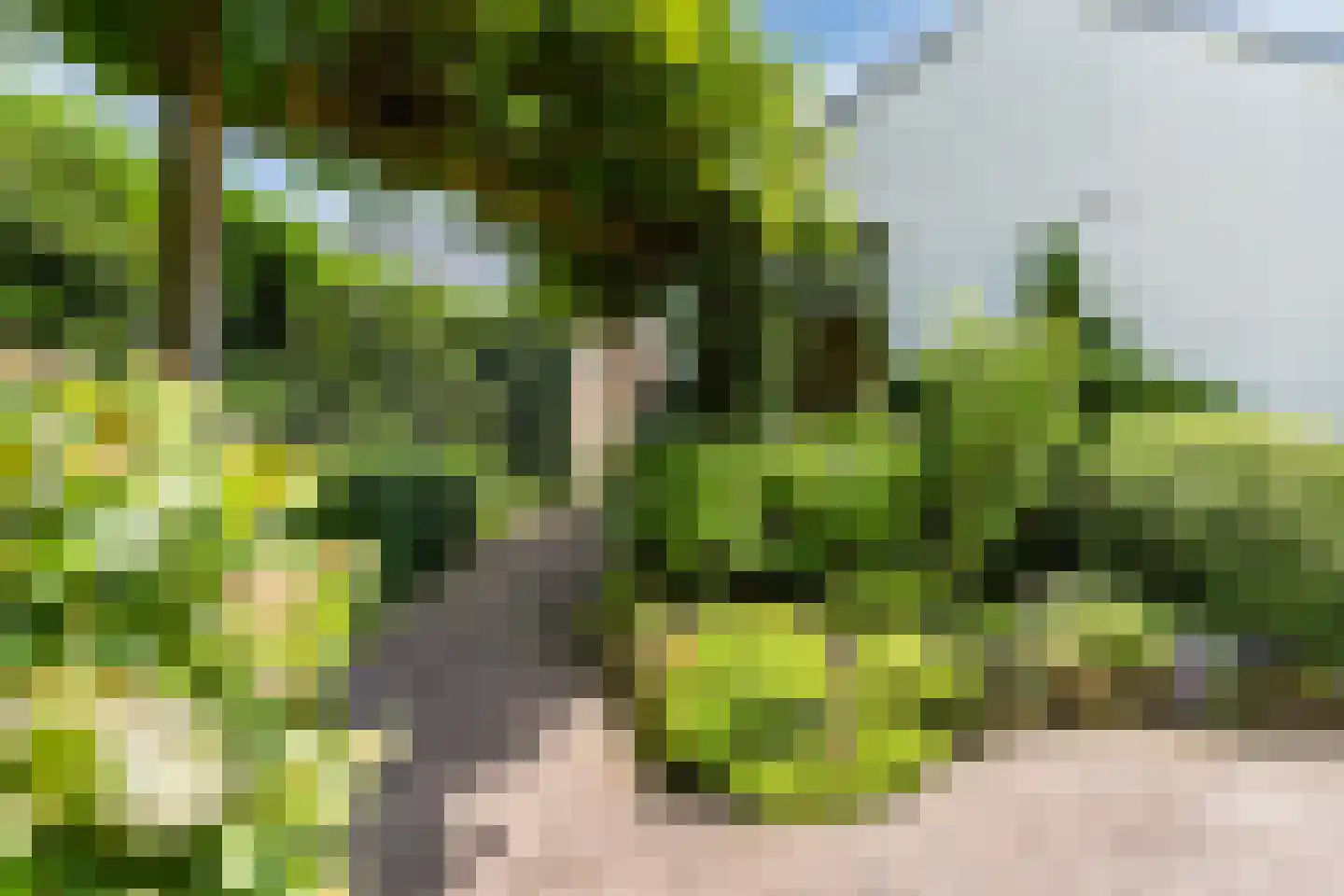 Houterbrugweg 15 Geldrop thumbnail 65