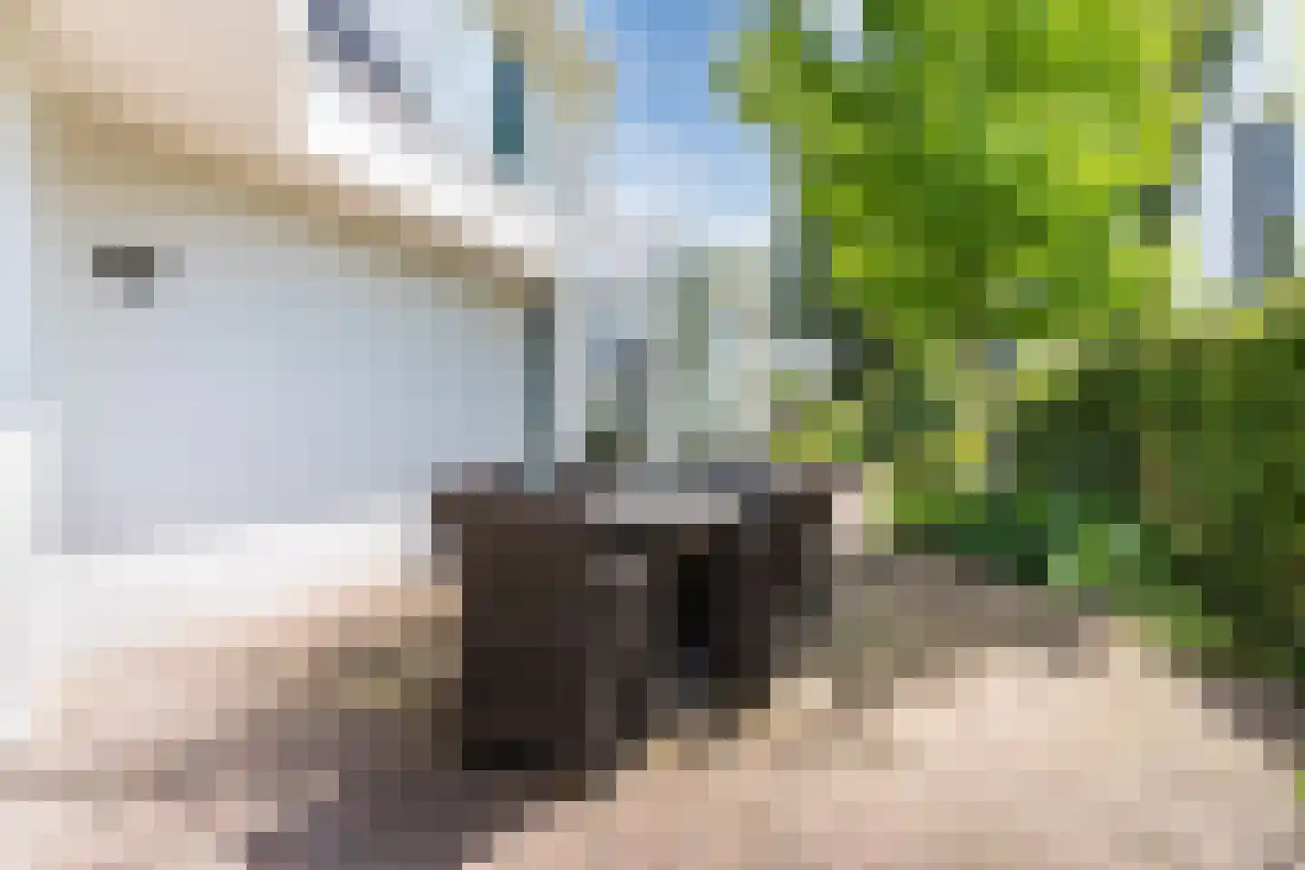 Houterbrugweg 15 Geldrop thumbnail 66