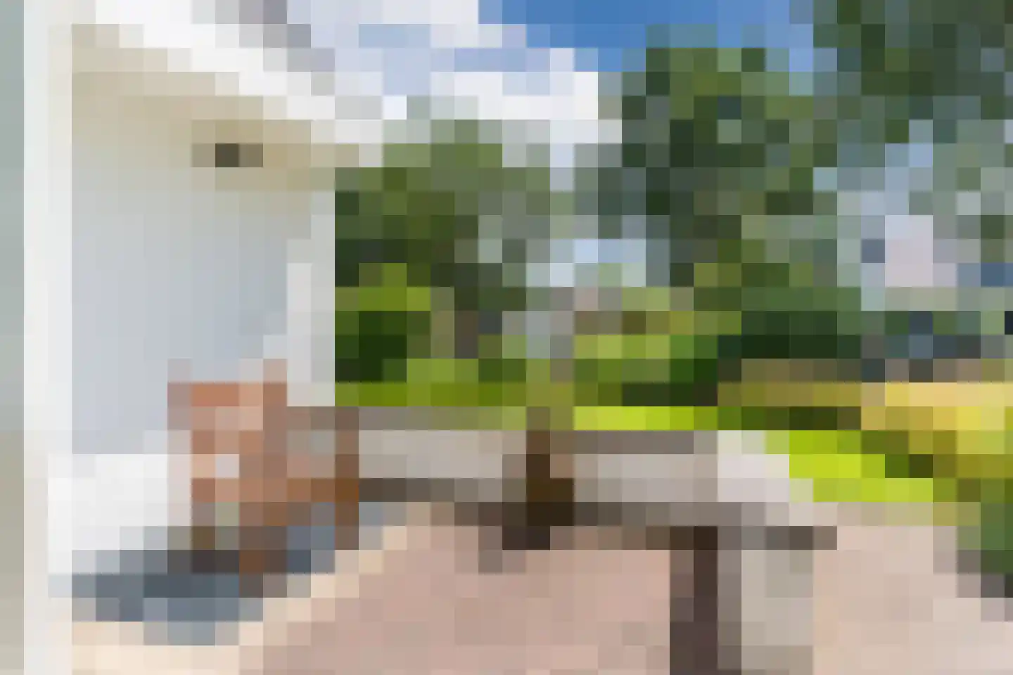Houterbrugweg 15 Geldrop thumbnail 68
