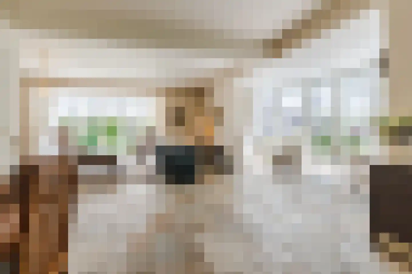 Houterbrugweg 15 Geldrop thumbnail 8