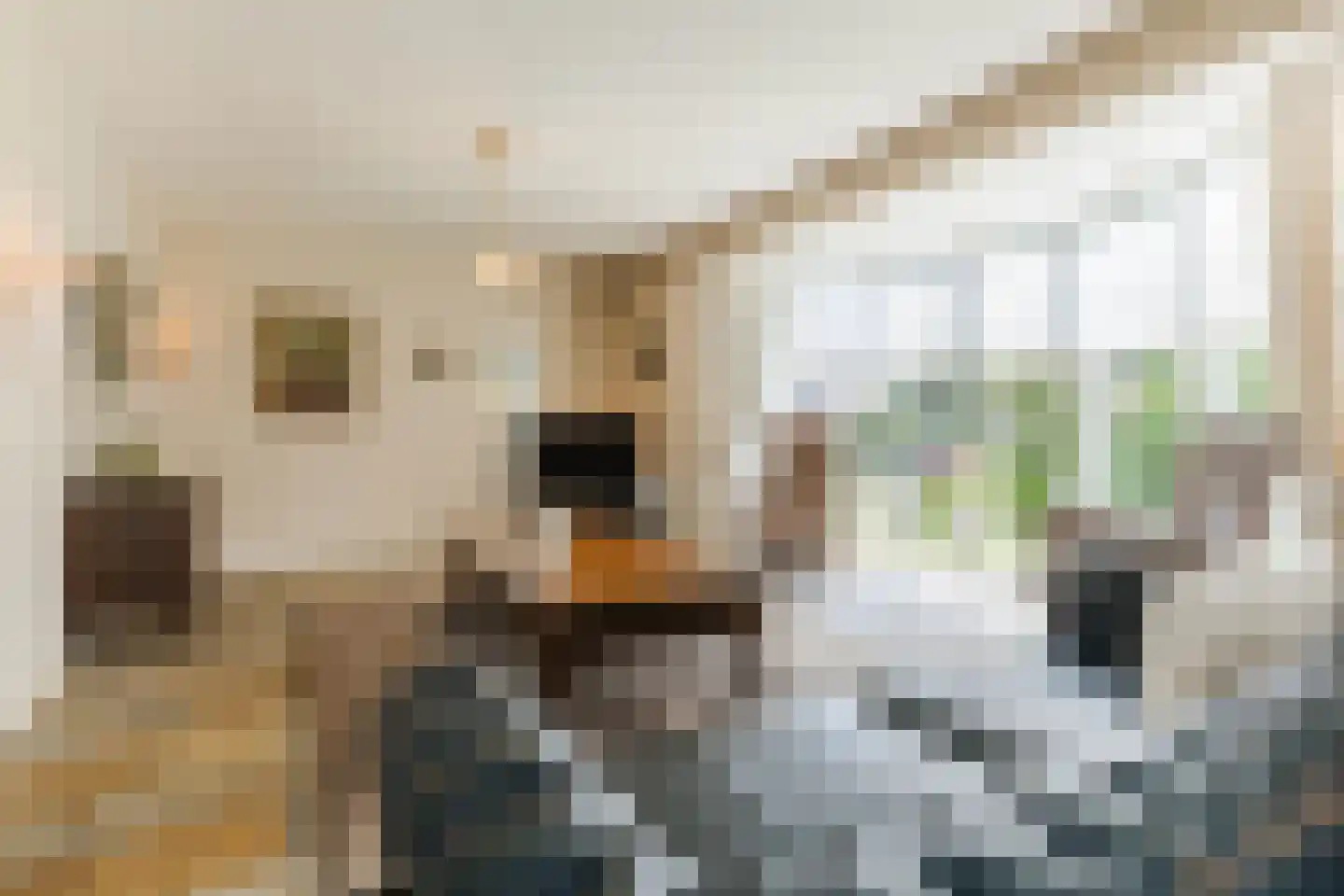 Houterbrugweg 15 Geldrop thumbnail 9