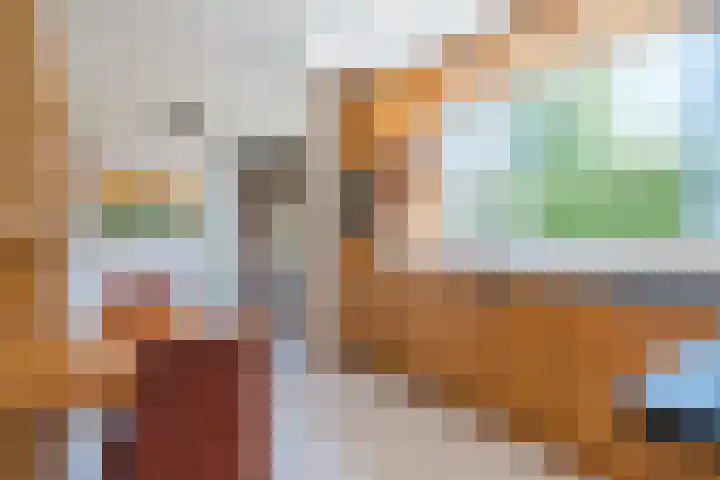 Houterbrugweg 21 Geldrop thumbnail 16