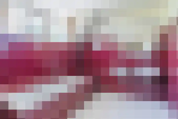 Houterbrugweg 21 Geldrop thumbnail 25