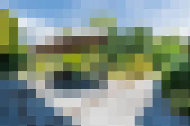 Houterbrugweg 21 Geldrop thumbnail 27