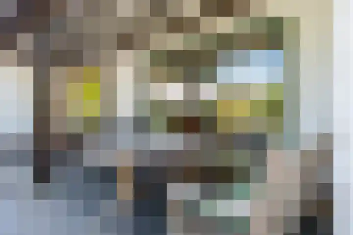 Houterbrugweg 21 Geldrop thumbnail 28