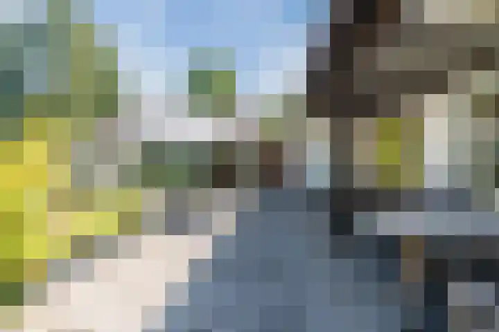 Houterbrugweg 21 Geldrop thumbnail 29
