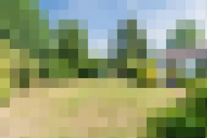 Houterbrugweg 21 Geldrop thumbnail 30