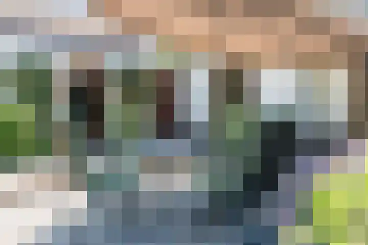 Houterbrugweg 21 Geldrop thumbnail 31