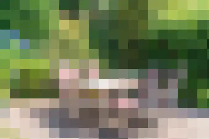 Houterbrugweg 21 Geldrop thumbnail 32