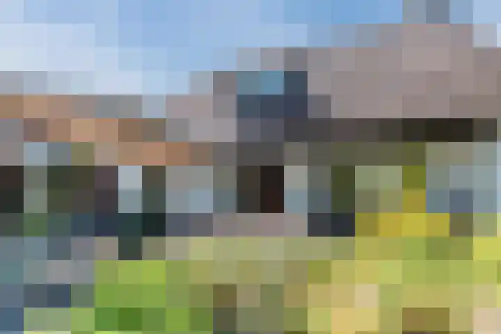 Houterbrugweg 21 Geldrop thumbnail 33
