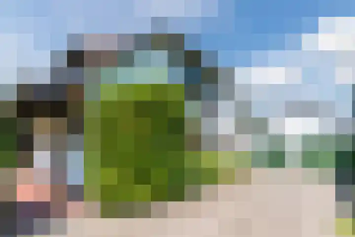Houterbrugweg 21 Geldrop thumbnail 5