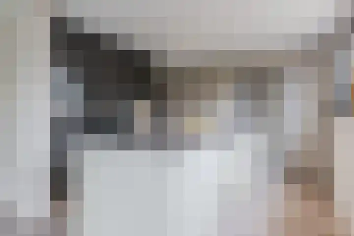 Houterbrugweg 8 Geldrop thumbnail 10
