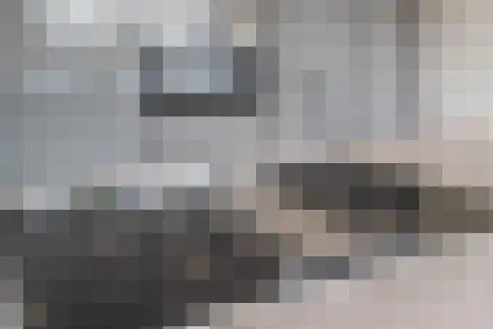 Houterbrugweg 8 Geldrop thumbnail 11