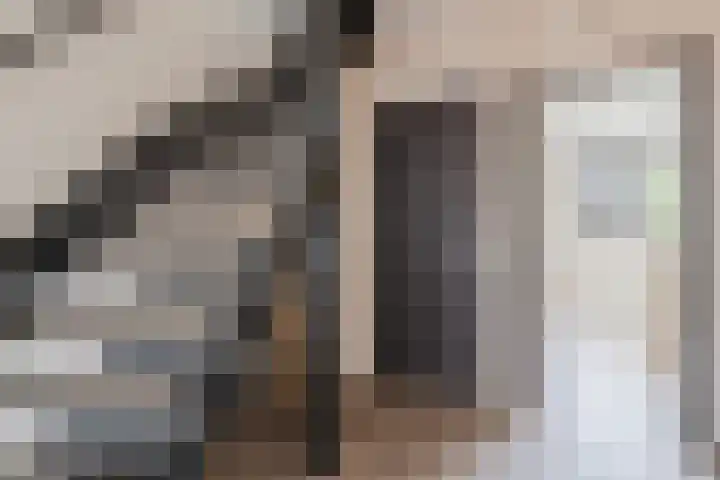 Houterbrugweg 8 Geldrop thumbnail 14