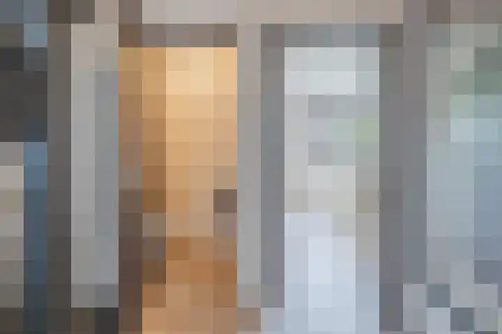 Houterbrugweg 8 Geldrop thumbnail 15