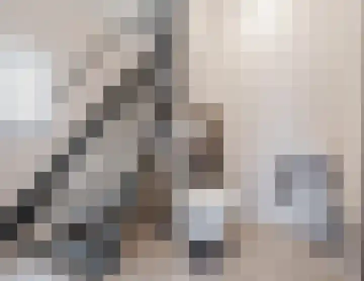 Houterbrugweg 8 Geldrop thumbnail 19