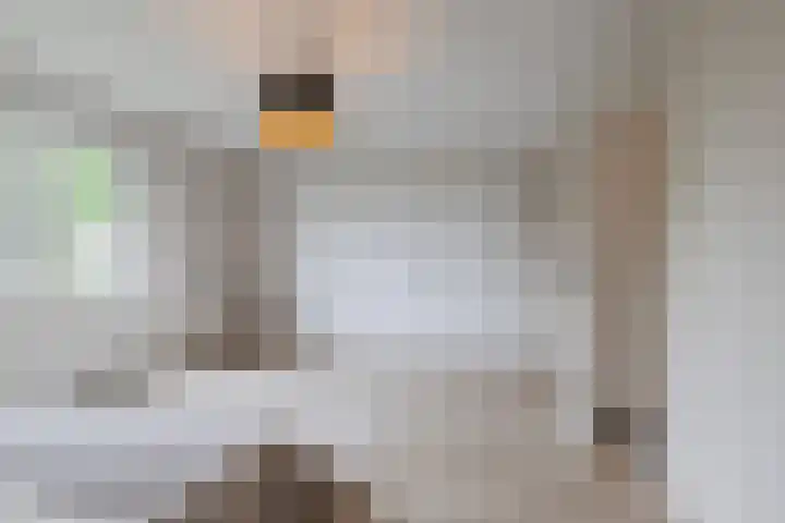Houterbrugweg 8 Geldrop thumbnail 21