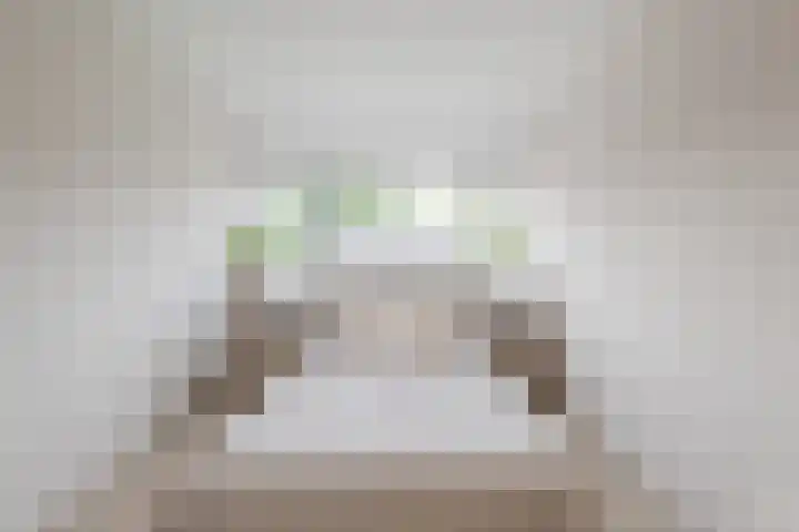 Houterbrugweg 8 Geldrop thumbnail 23