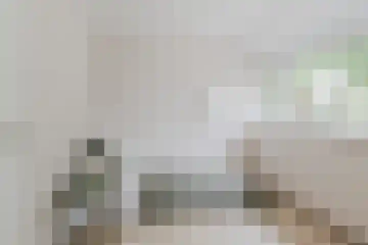 Houterbrugweg 8 Geldrop thumbnail 25
