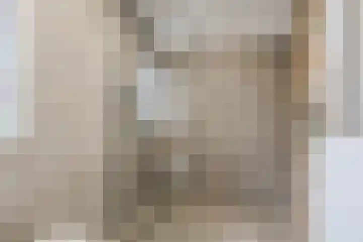 Houterbrugweg 8 Geldrop thumbnail 28
