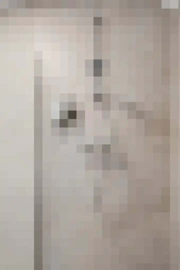 Houterbrugweg 8 Geldrop thumbnail 30