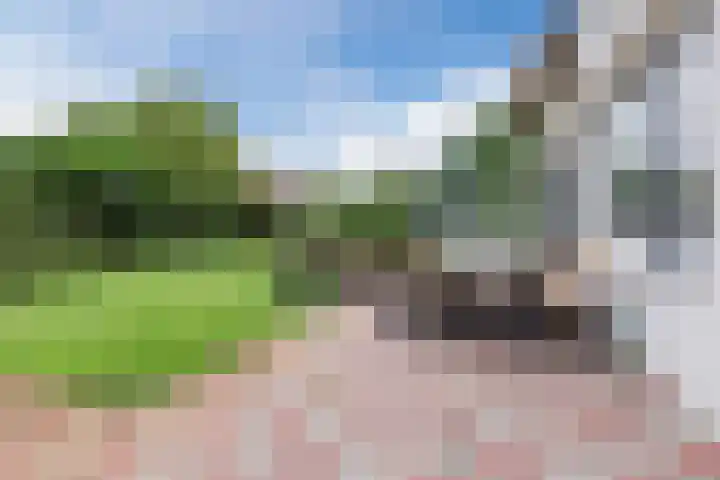 Houterbrugweg 8 Geldrop thumbnail 33
