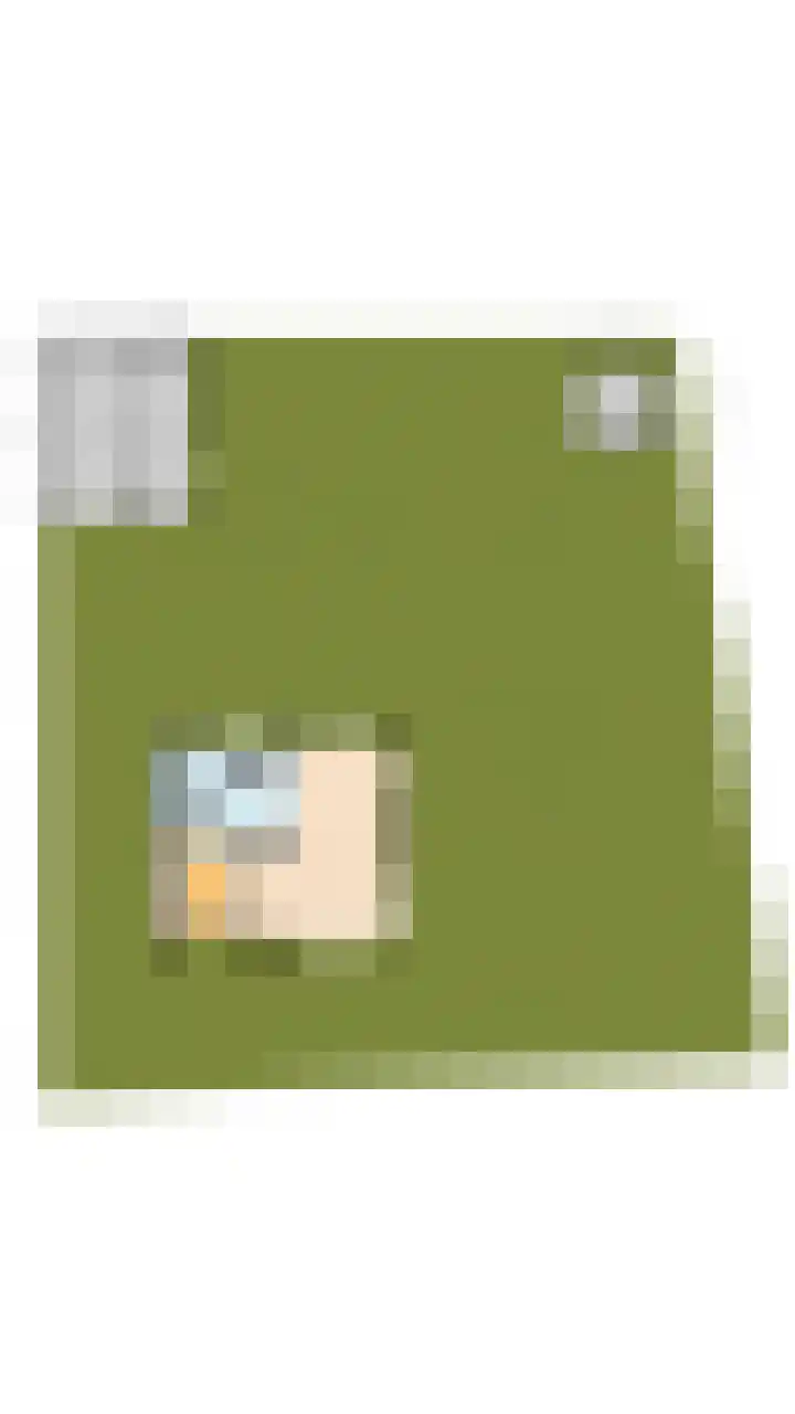 Houterbrugweg 8 Geldrop thumbnail 42