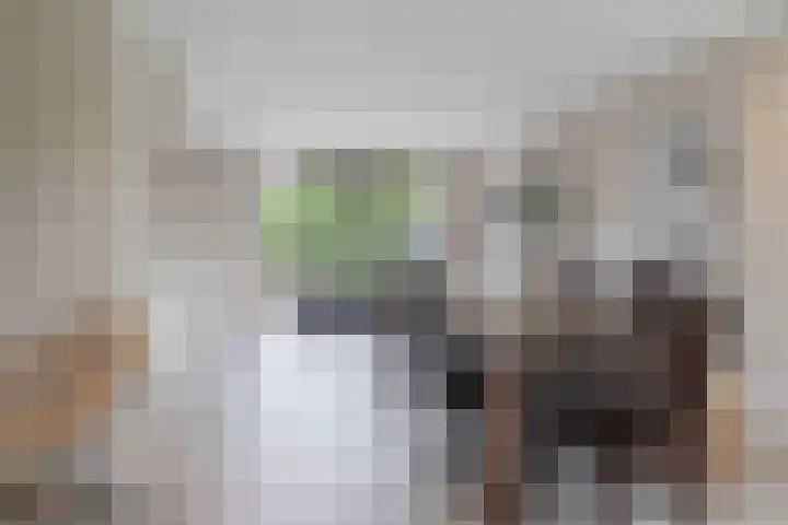 Houterbrugweg 8 Geldrop thumbnail 6