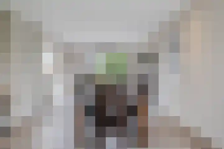 Houterbrugweg 8 Geldrop thumbnail 7