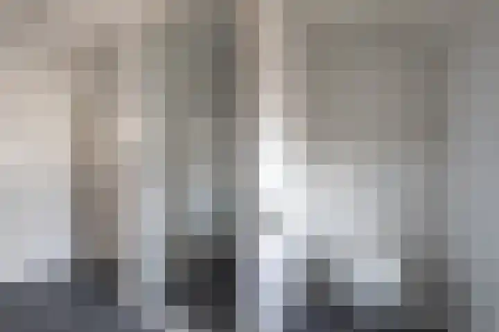Houterend 37 Stein thumbnail 12