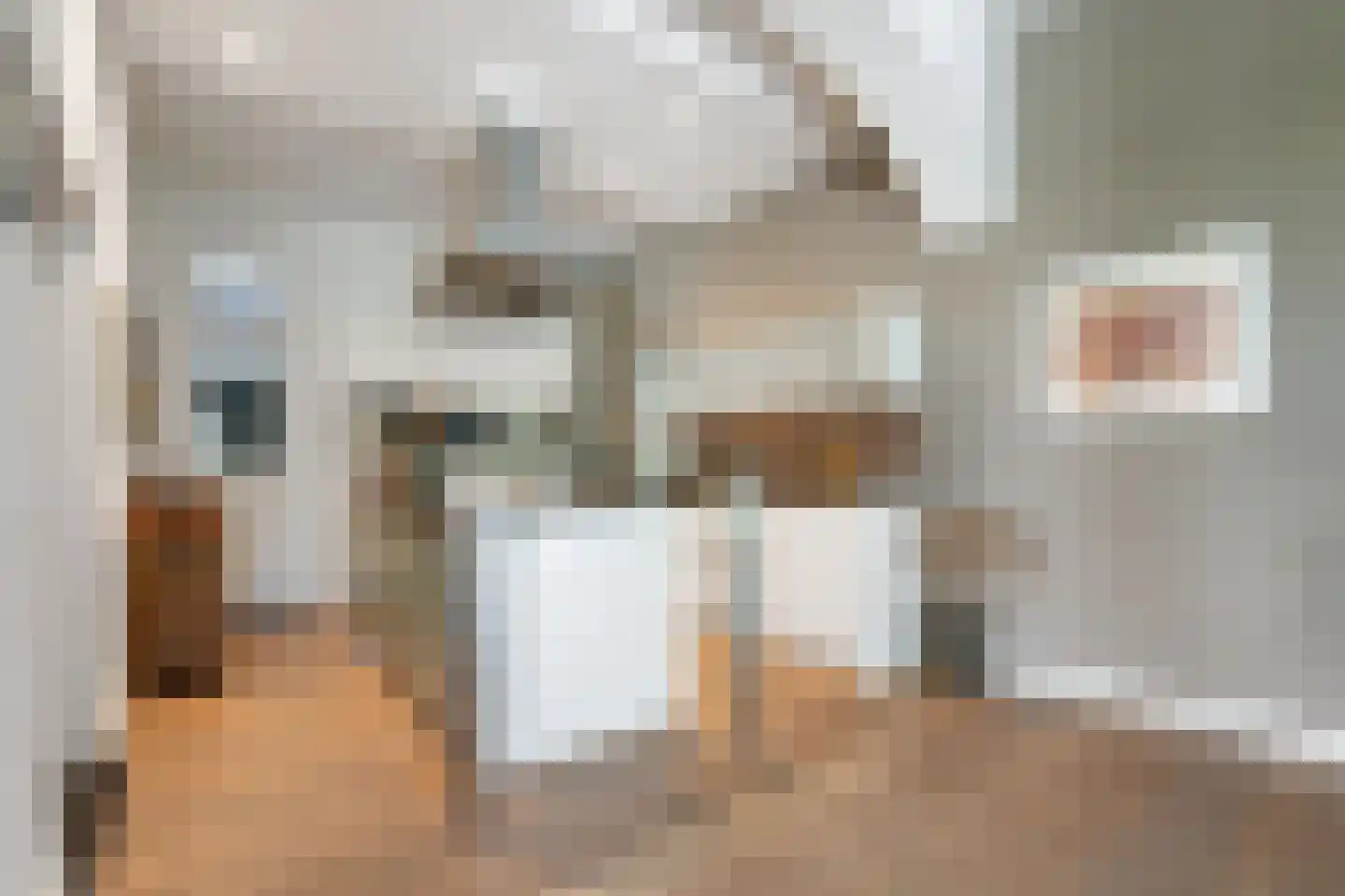 Houterend 44 Stein thumbnail 10