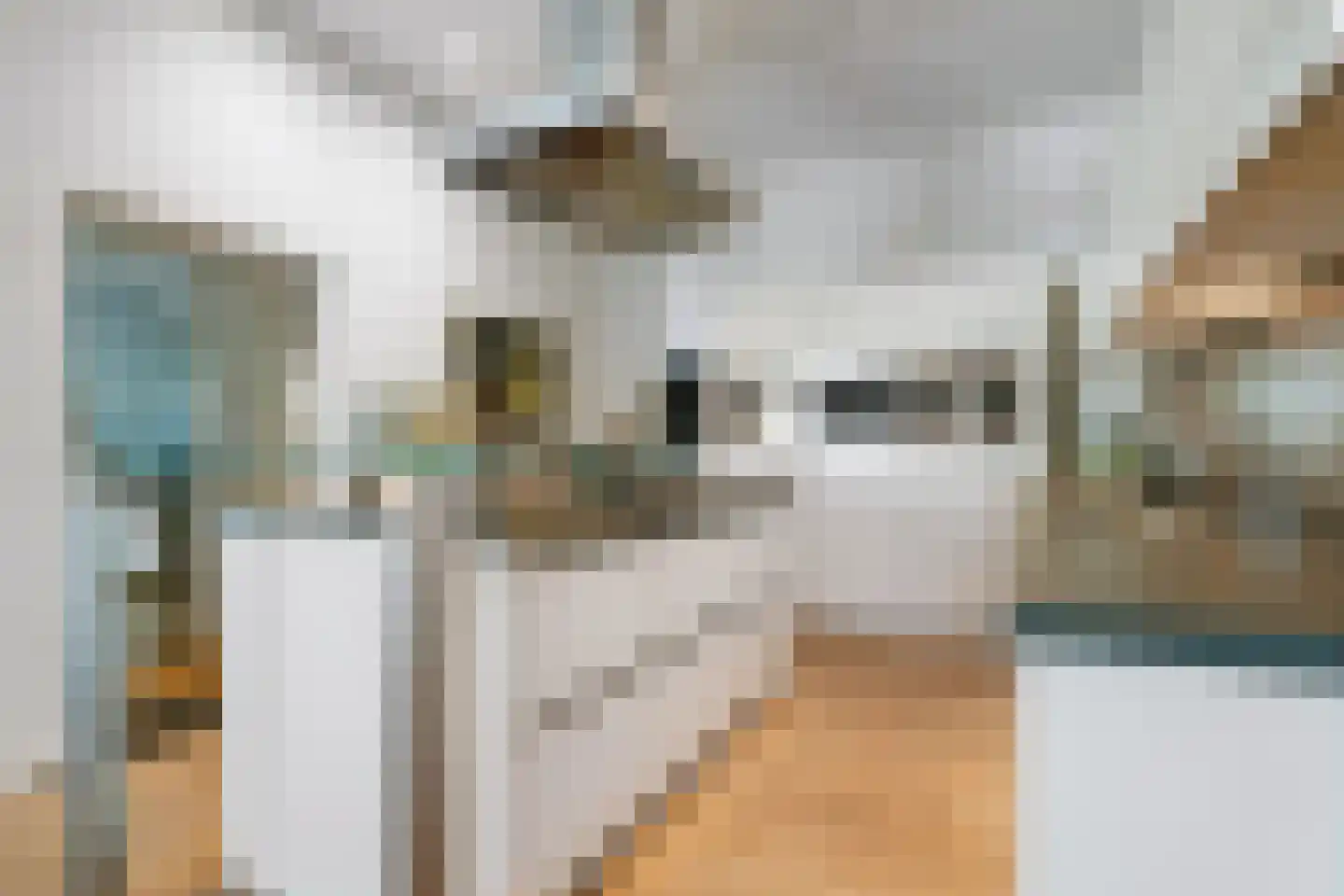 Houterend 44 Stein thumbnail 11