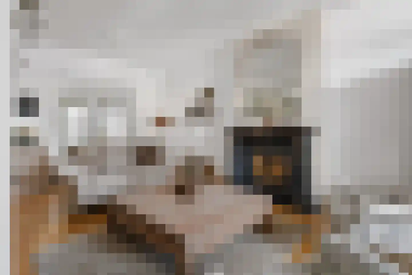 Houterend 44 Stein thumbnail 14