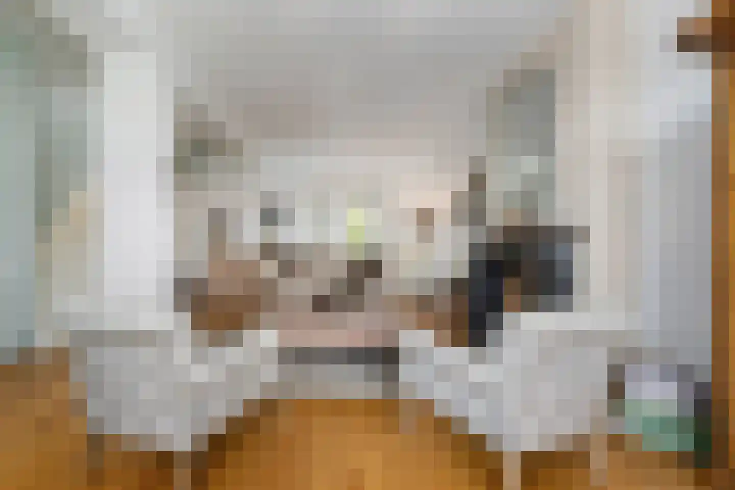 Houterend 44 Stein thumbnail 15