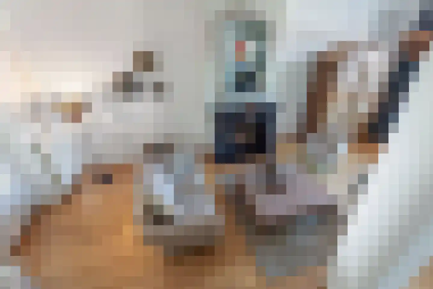 Houterend 44 Stein thumbnail 17