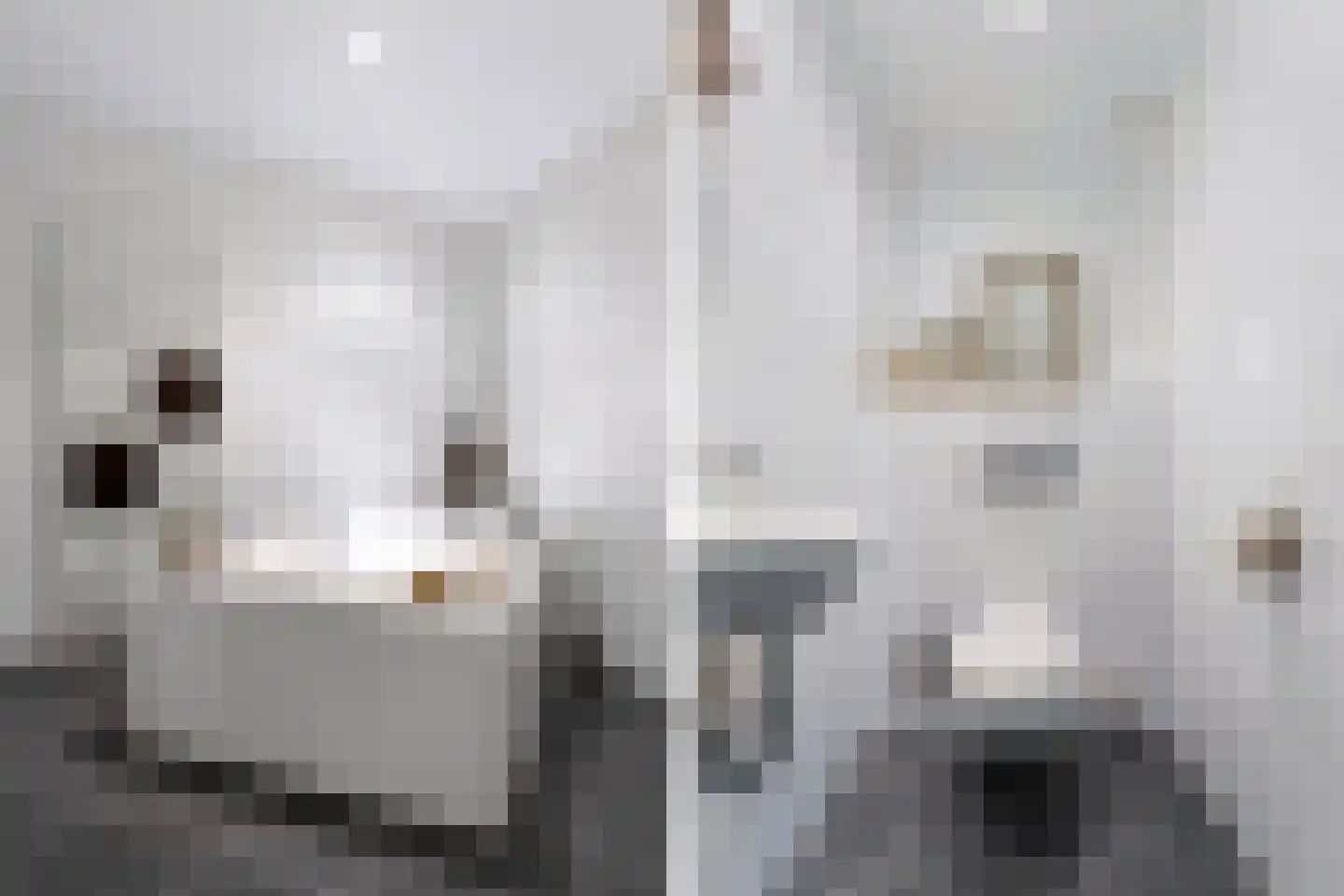 Houterend 44 Stein thumbnail 24