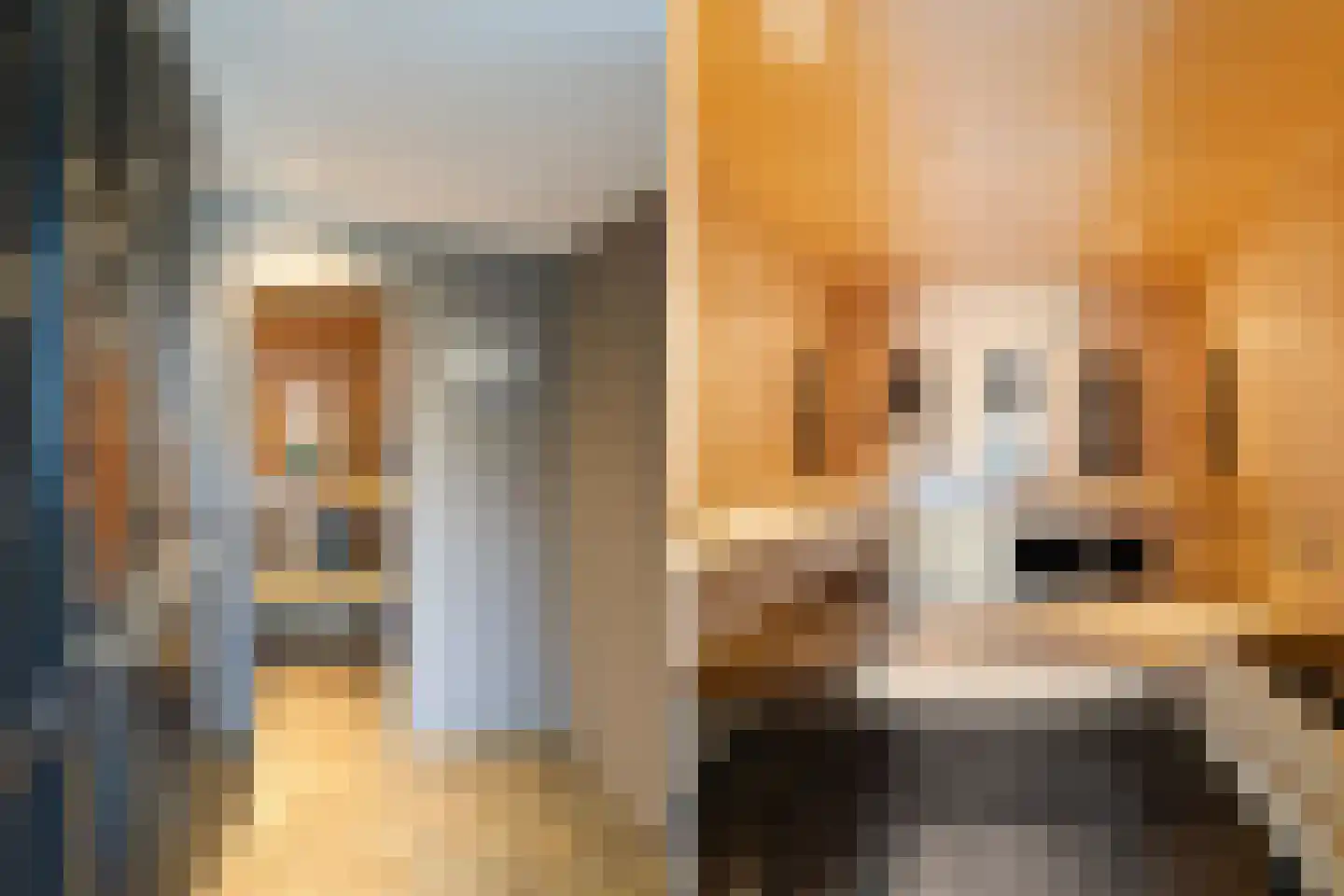 Houterend 44 Stein thumbnail 25