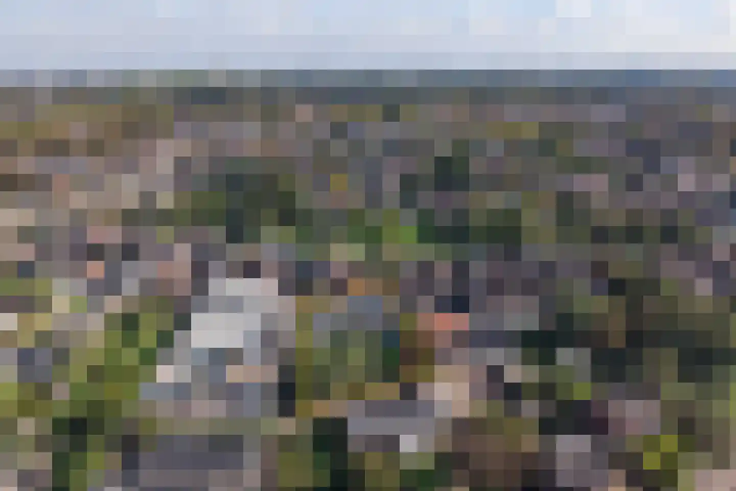 Houterend 44 Stein thumbnail 50