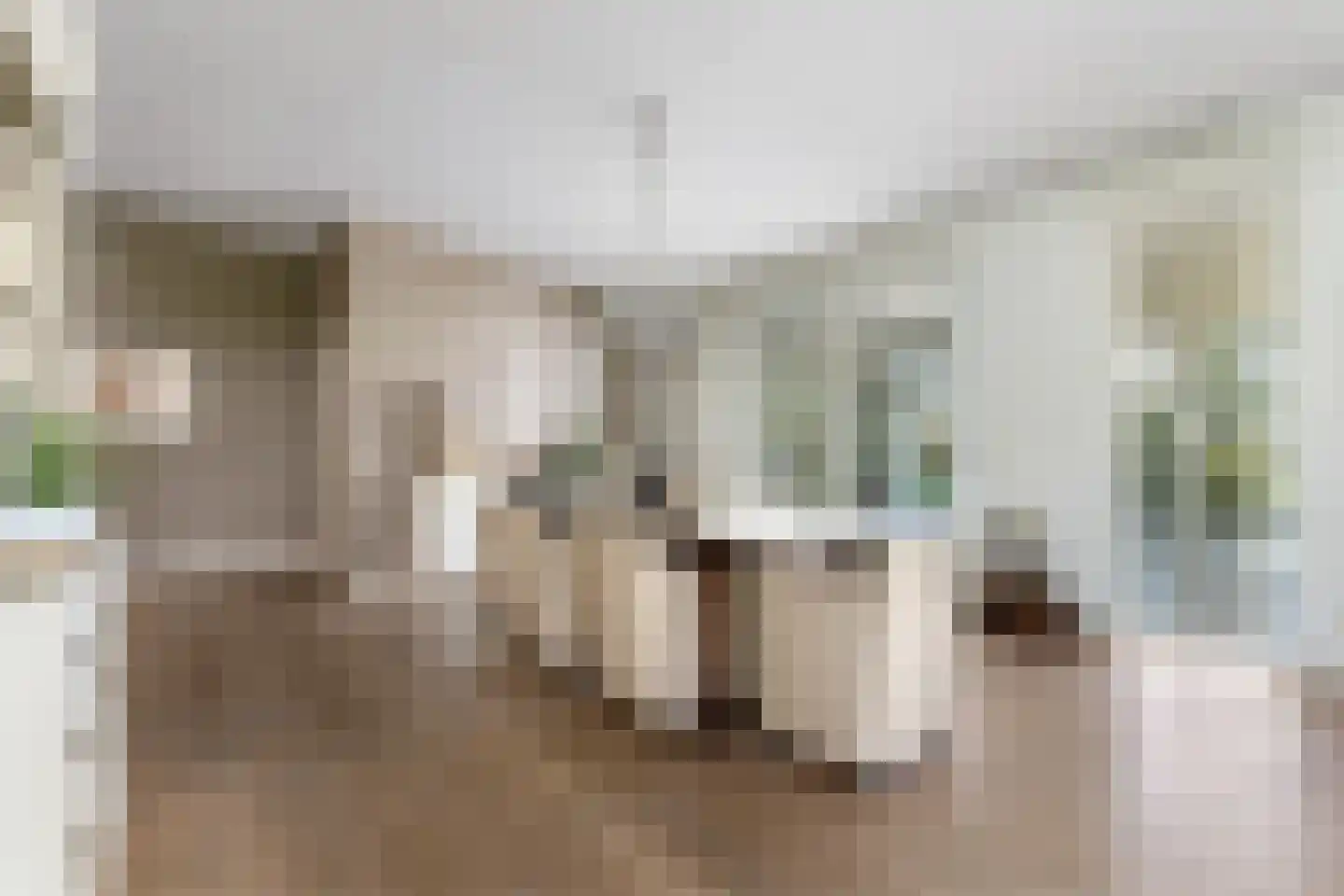 Houterend 44 Stein thumbnail 9