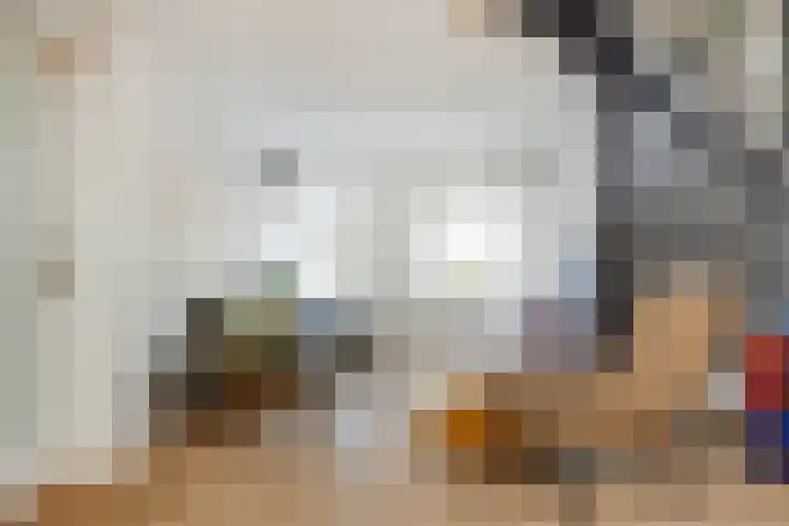 Houterend 57 Stein thumbnail 14