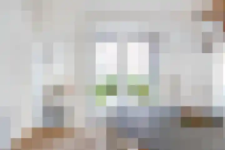 Houterend 57 Stein thumbnail 18
