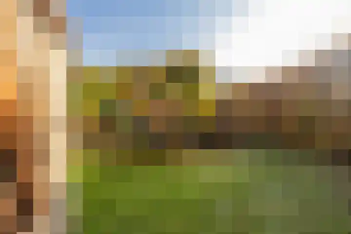 Houterend 57 Stein thumbnail 4
