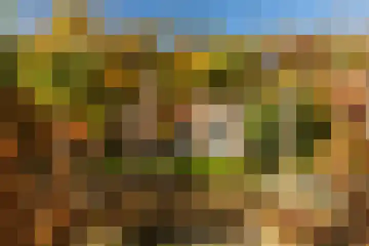 Houterend 57 Stein thumbnail 44