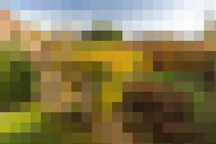 Houterend 57 Stein thumbnail 46