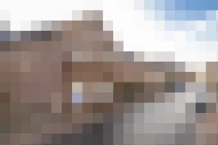 Houterend 57 Stein thumbnail 5