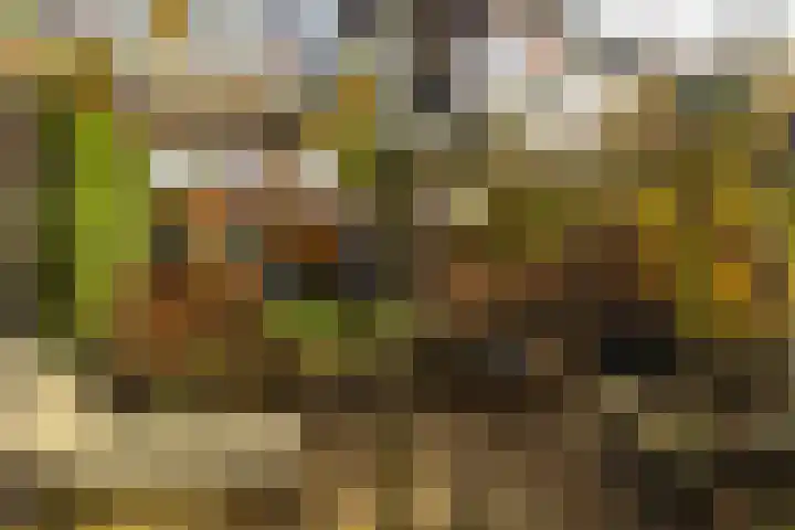 Houterend 57 Stein thumbnail 51